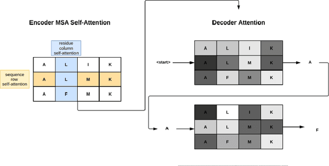 Figure 1 for Few Shot Protein Generation