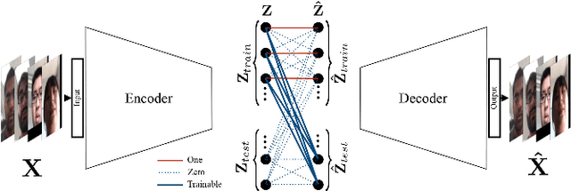 Figure 1 for Deep Sparse Representation-based Classification