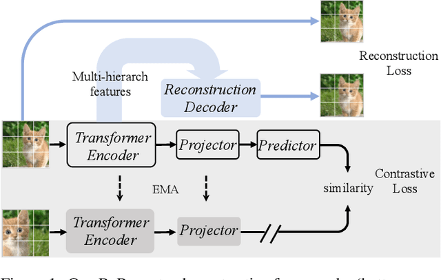 Figure 1 for RePre: Improving Self-Supervised Vision Transformer with Reconstructive Pre-training