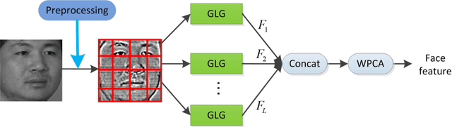 Figure 3 for LGLG-WPCA: An Effective Texture-based Method for Face Recognition