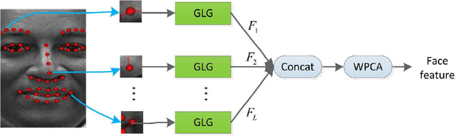 Figure 4 for LGLG-WPCA: An Effective Texture-based Method for Face Recognition