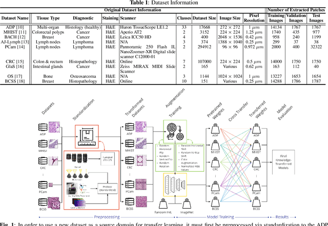 Figure 1 for HistoKT: Cross Knowledge Transfer in Computational Pathology