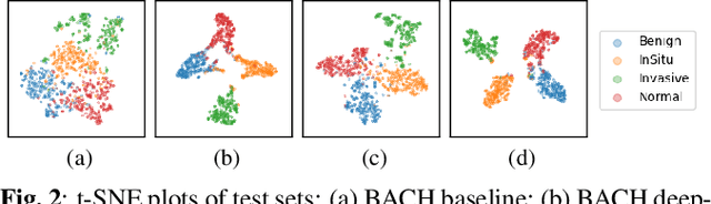 Figure 2 for HistoKT: Cross Knowledge Transfer in Computational Pathology