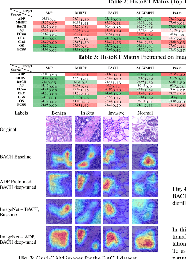 Figure 3 for HistoKT: Cross Knowledge Transfer in Computational Pathology