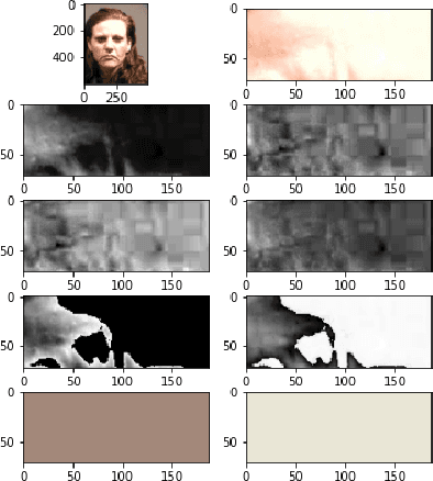 Figure 3 for SREDS: A dichromatic separation based measure of skin color