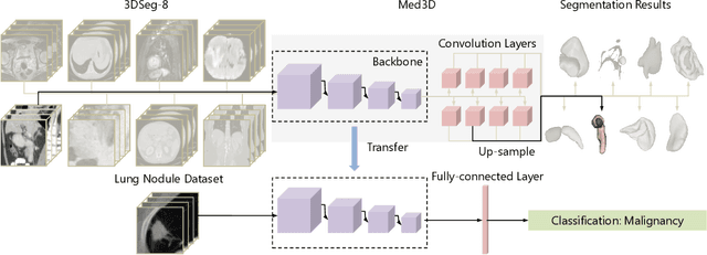 Figure 3 for Med3D: Transfer Learning for 3D Medical Image Analysis