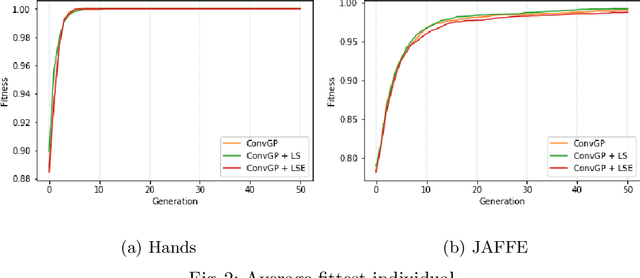 Figure 4 for Genetic Programming and Gradient Descent: A Memetic Approach to Binary Image Classification