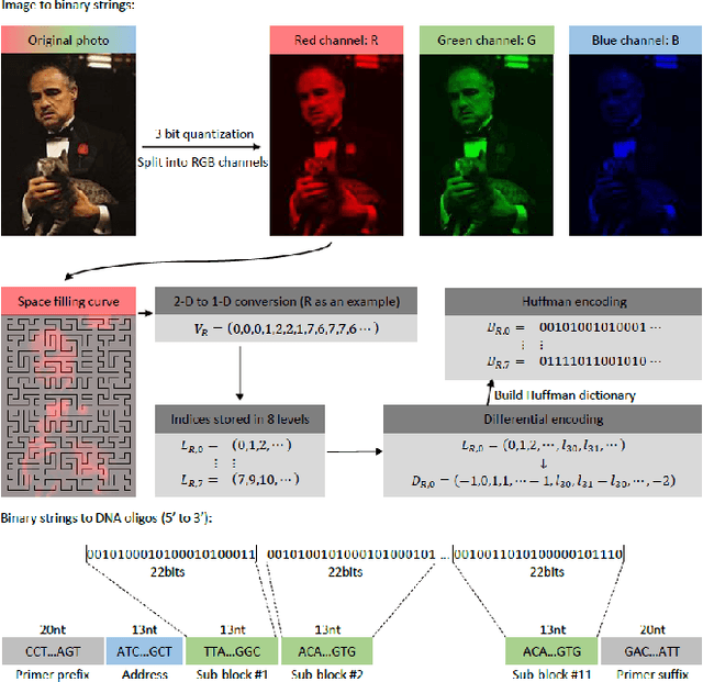 Figure 2 for Image processing in DNA