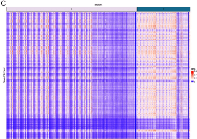 Figure 4 for Kinematics clustering enables head impact subtyping for better traumatic brain injury prediction