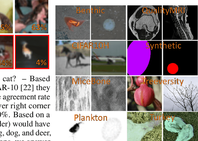 Figure 3 for Is one annotation enough? A data-centric image classification benchmark for noisy and ambiguous label estimation