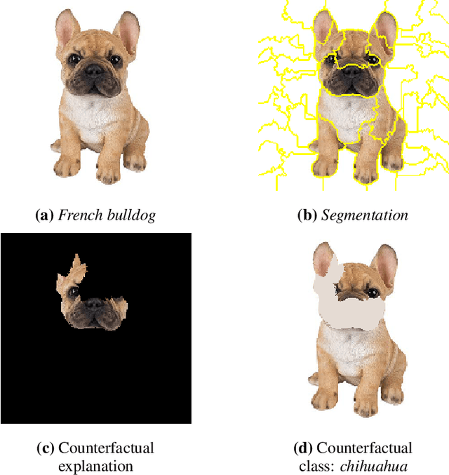 Figure 3 for Explainable Image Classification with Evidence Counterfactual