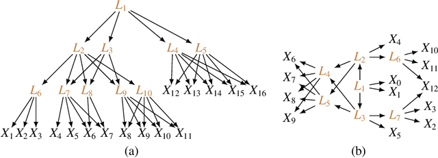 Figure 1 for Latent Hierarchical Causal Structure Discovery with Rank Constraints