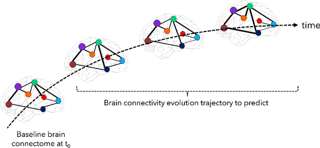 Figure 1 for A Comparative Study of Machine Learning Methods for Predicting the Evolution of Brain Connectivity from a Baseline Timepoint