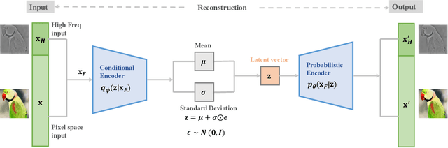 Figure 1 for Out-of-distribution Detection via Frequency-regularized Generative Models