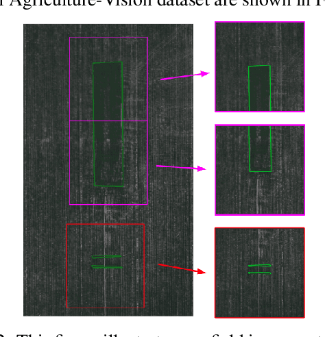 Figure 4 for Agriculture-Vision: A Large Aerial Image Database for Agricultural Pattern Analysis