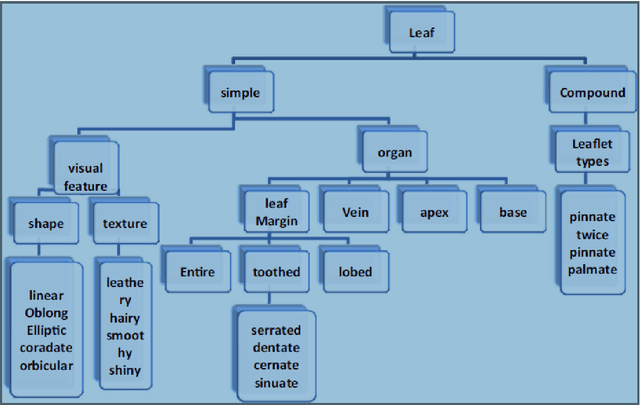 Figure 4 for A Review of Visual Descriptors and Classification Techniques Used in Leaf Species Identification