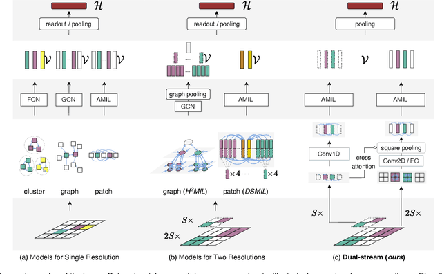 Figure 1 for Dual-Stream Transformer with Cross-Attention on Whole-Slide Image Pyramids for Cancer Prognosis