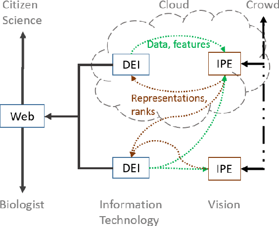 Figure 1 for The Sloop System for Individual Animal Identification with Deep Learning