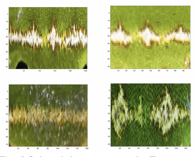Figure 3 for The Sloop System for Individual Animal Identification with Deep Learning