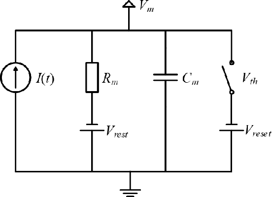 Figure 1 for SAR Image Classification Based on Spiking Neural Network through Spike-Time Dependent Plasticity and Gradient Descent