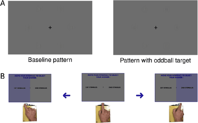 Figure 1 for Haptic communication optimises joint decisions and affords implicit confidence sharing