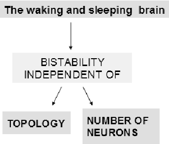 Figure 3 for The bistable brain: a neuronal model with symbiotic interactions