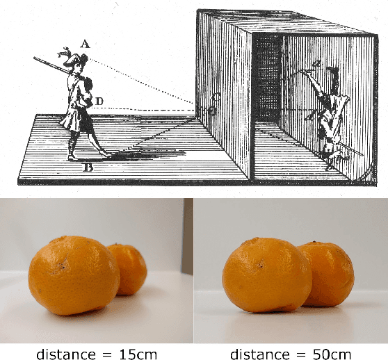 Figure 1 for Perspective-consistent multifocus multiview 3D reconstruction of small objects