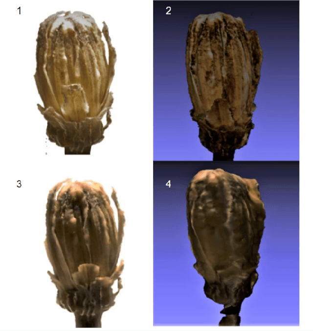 Figure 3 for Perspective-consistent multifocus multiview 3D reconstruction of small objects