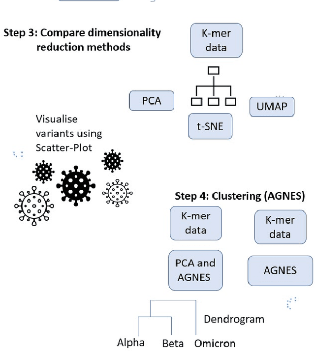 Figure 2 for Unsupervised machine learning framework for discriminating major variants of concern during COVID-19