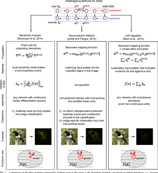 Figure 2 for Evaluating the visualization of what a Deep Neural Network has learned