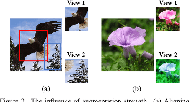 Figure 3 for Rethinking the Augmentation Module in Contrastive Learning: Learning Hierarchical Augmentation Invariance with Expanded Views