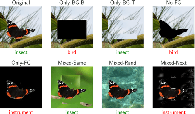 Figure 1 for Noise or Signal: The Role of Image Backgrounds in Object Recognition