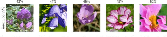 Figure 4 for Noise or Signal: The Role of Image Backgrounds in Object Recognition