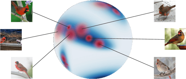 Figure 1 for A Non-isotropic Probabilistic Take on Proxy-based Deep Metric Learning