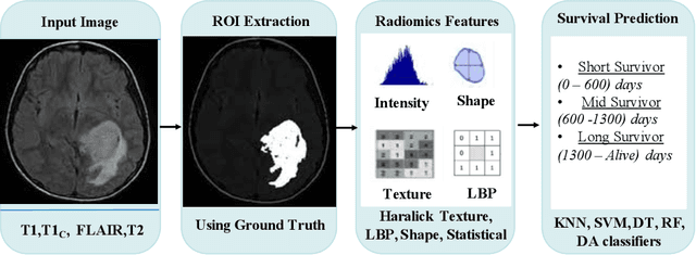 Figure 1 for Brain Tumor Survival Prediction using Radiomics Features