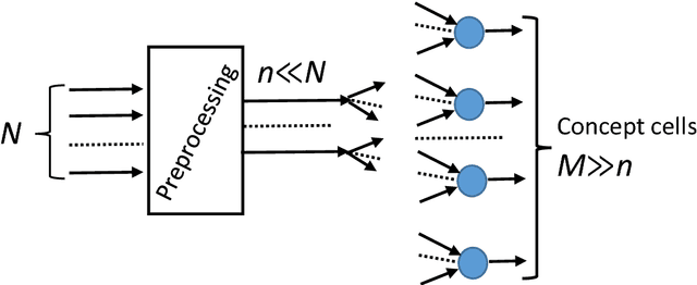 Figure 4 for The unreasonable effectiveness of small neural ensembles in high-dimensional brain