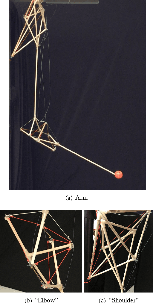 Figure 1 for A Bio-Inspired Tensegrity Manipulator with Multi-DOF, Structurally Compliant Joints