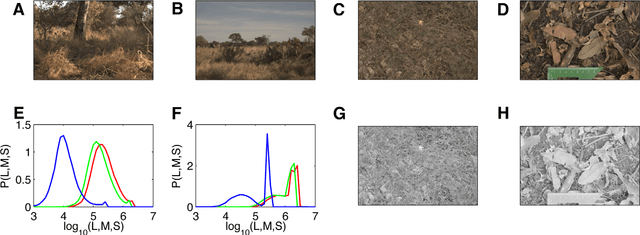 Figure 3 for Natural images from the birthplace of the human eye