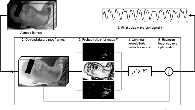 Figure 1 for A spectral-spatial fusion model for robust blood pulse waveform extraction in photoplethysmographic imaging