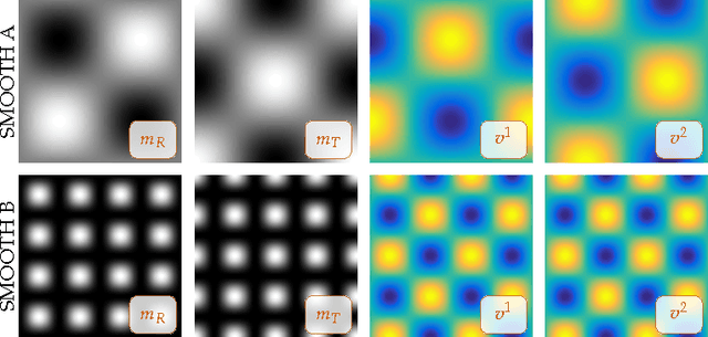 Figure 3 for A Semi-Lagrangian two-level preconditioned Newton-Krylov solver for constrained diffeomorphic image registration