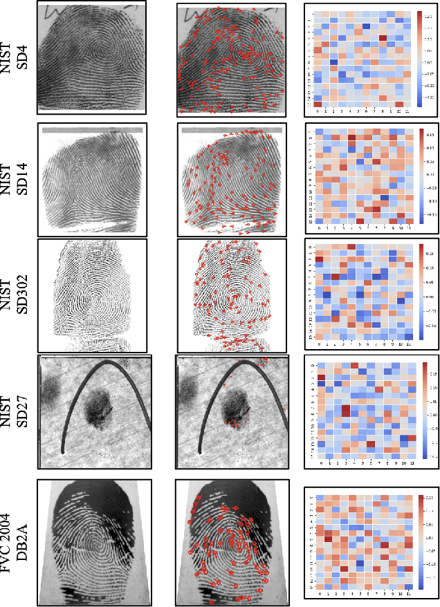 Figure 1 for Learning an Ensemble of Deep Fingerprint Representations