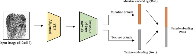 Figure 3 for Learning an Ensemble of Deep Fingerprint Representations