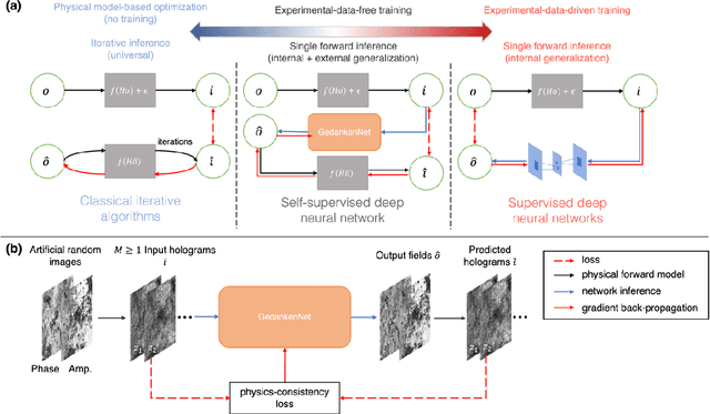 Figure 1 for GedankenNet: Self-supervised learning of hologram reconstruction using physics consistency