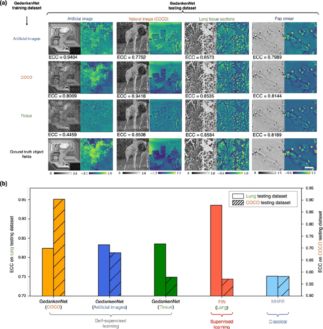 Figure 4 for GedankenNet: Self-supervised learning of hologram reconstruction using physics consistency