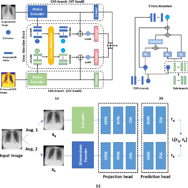 Figure 3 for Multi-Feature Vision Transformer via Self-Supervised Representation Learning for Improvement of COVID-19 Diagnosis