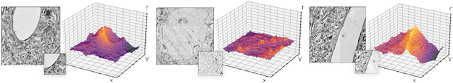 Figure 1 for Deep Learning Improves Template Matching by Normalized Cross Correlation