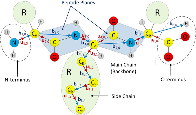 Figure 1 for Protofold II: Enhanced Model and Implementation for Kinetostatic Protein Folding