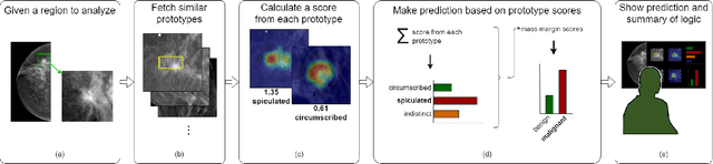 Figure 1 for Interpretable Mammographic Image Classification using Cased-Based Reasoning and Deep Learning