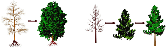 Figure 2 for Simulate forest trees by integrating L-system and 3D CAD files