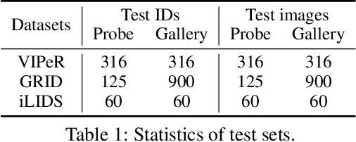 Figure 2 for Generalizable Person Re-Identification via Self-Supervised Batch Norm Test-Time Adaption